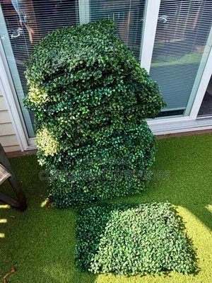 Beautiful Greenery for Beautiful Homes Boxwood Hedge Panels