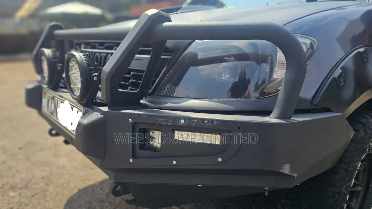 Toyota Hilux 2010 Gray