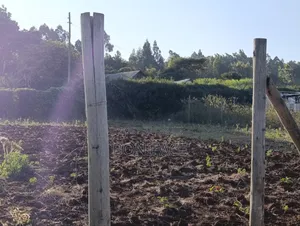 100x100 Plot for Sale, Ndeiya