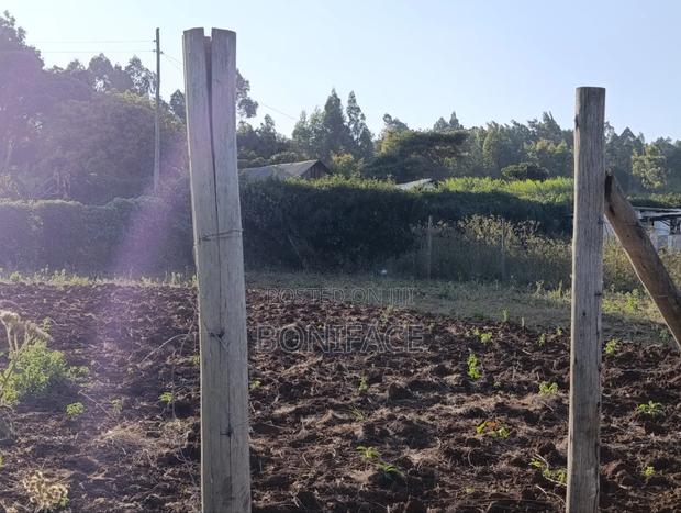 100x100 Plot for Sale, Ndeiya