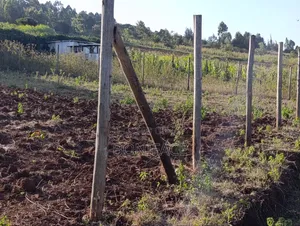 100x100 Plot for Sale, Ndeiya