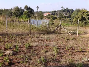 100x100 Plot for Sale, Ndeiya