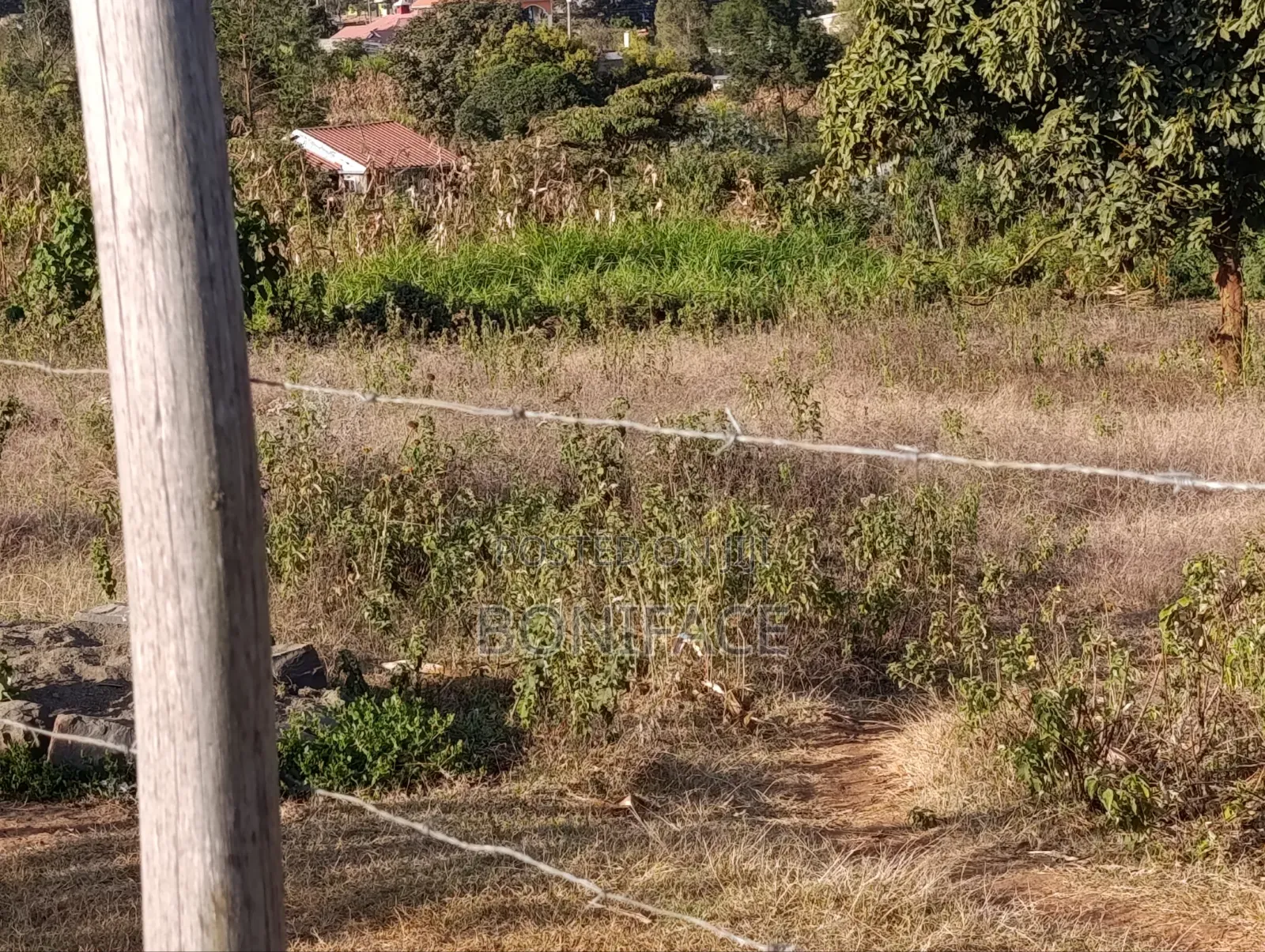 100x100 Plot for Sale, Ndeiya
