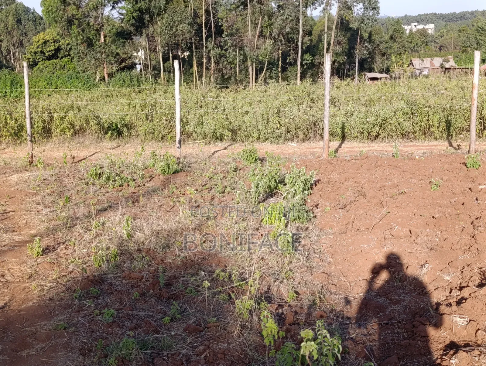 100x100 Plot for Sale, Ndeiya