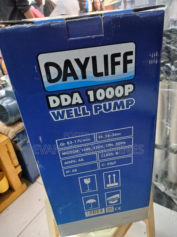 Daylife Dda 1000p Well Pump - thumbnail 2