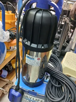 Daylife Dda 1000p Well Pump