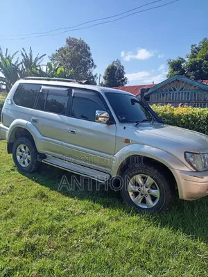 Toyota Land Cruiser 2001 Silver