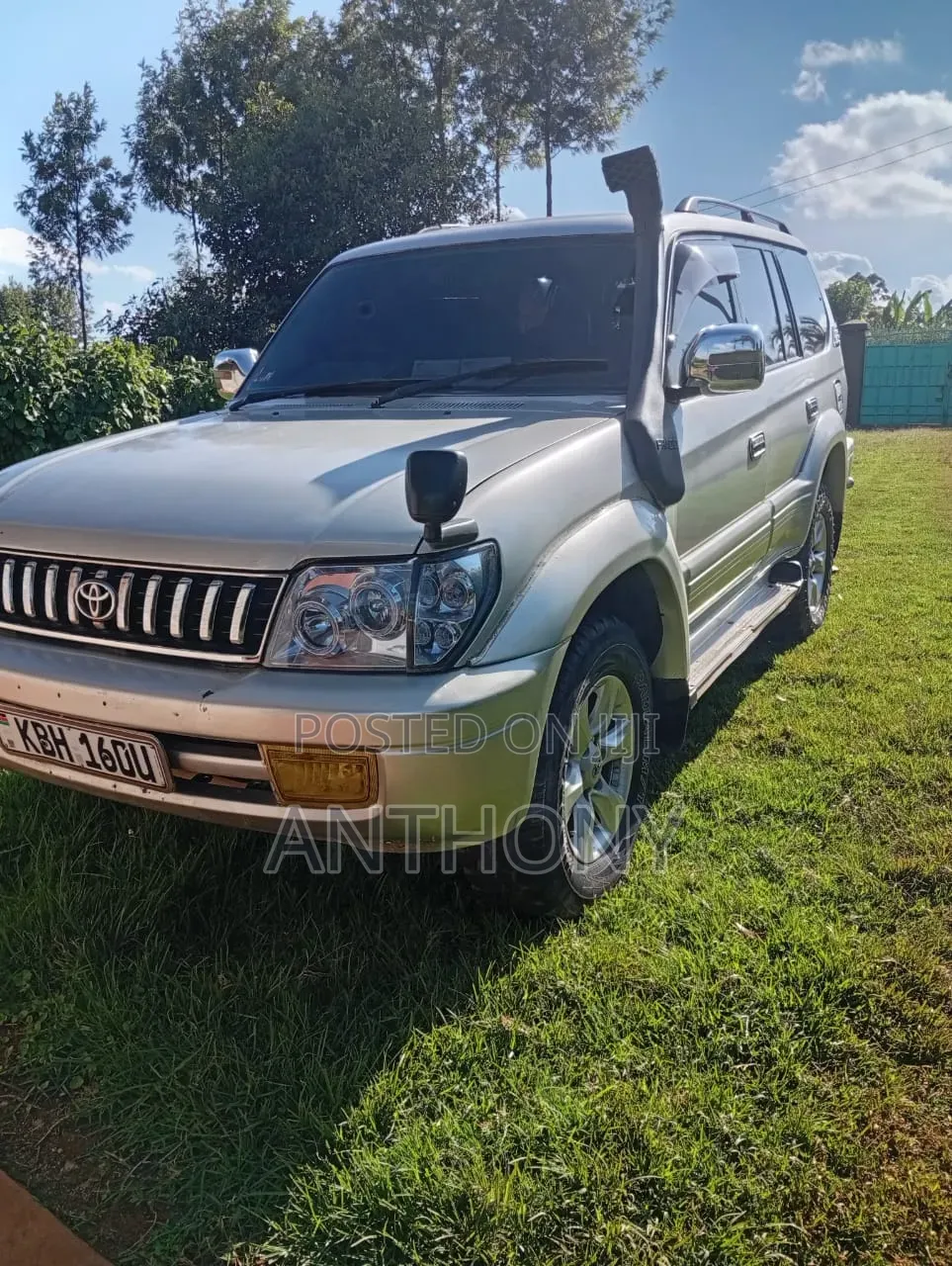 Toyota Land Cruiser 2001 Silver