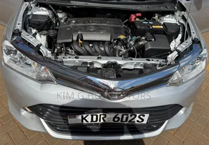Toyota Corolla Fielder 2017 Silver