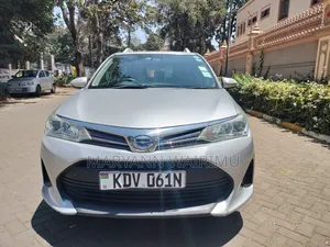 Toyota Corolla Fielder 2018 Silver