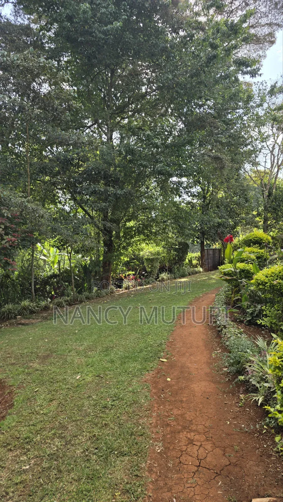 4bdrm Bungalow in Tigoni for rent