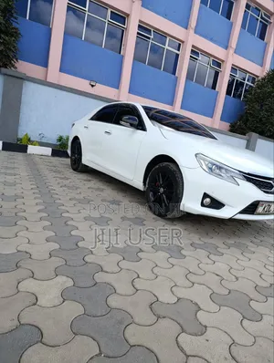 Toyota Mark X 2014 Pearl