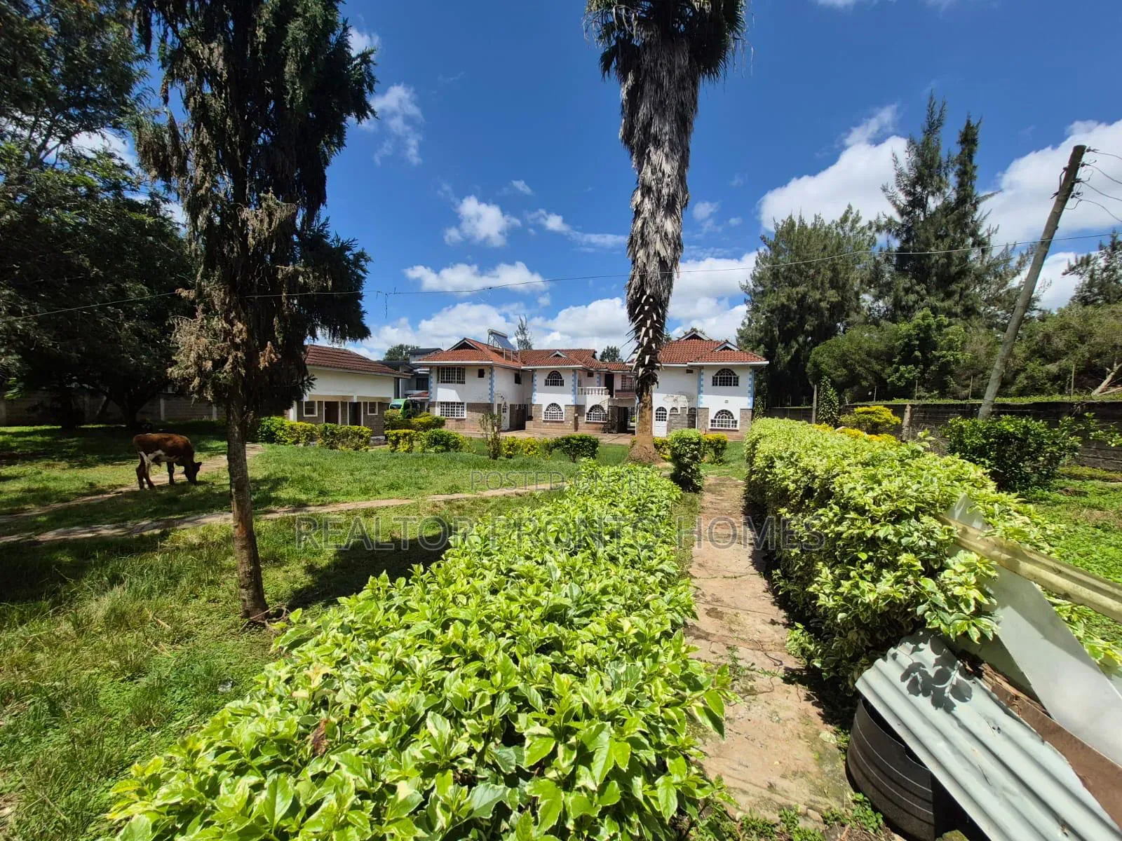 20bdrm Mansion in Karen for rent