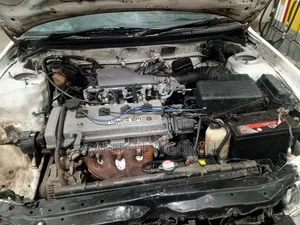 Toyota Corolla 1996 White