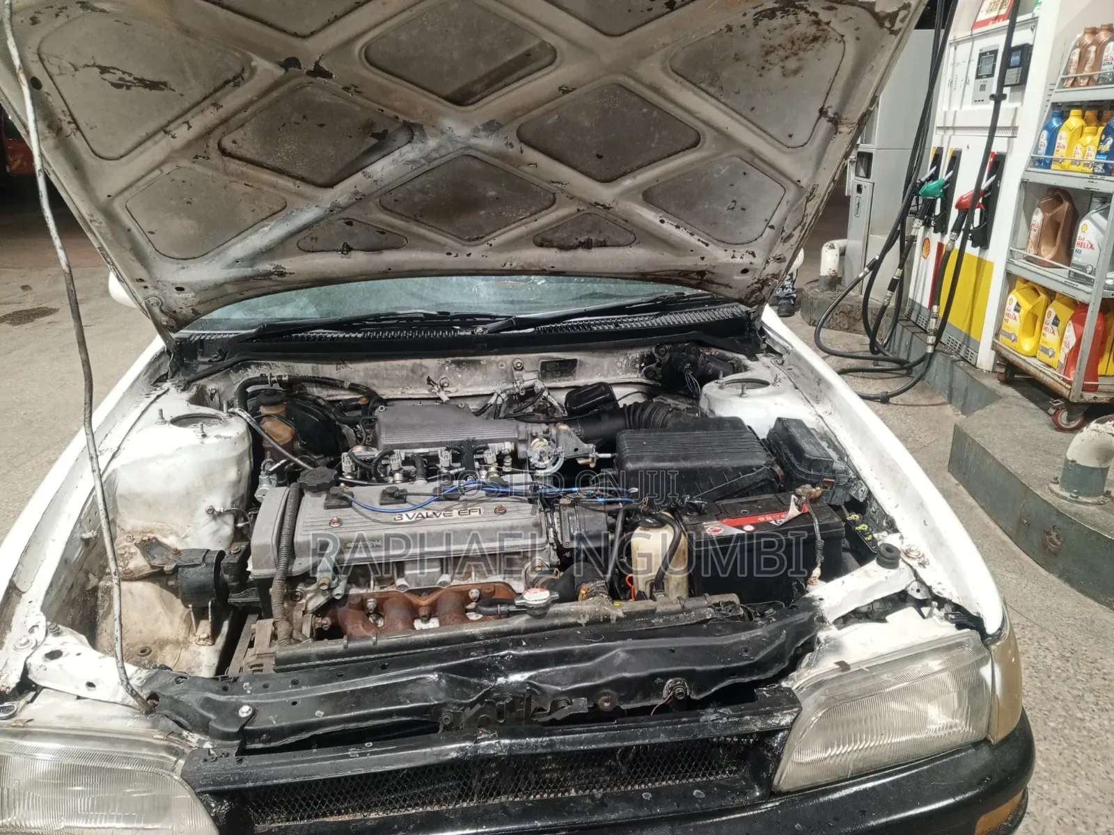 Toyota Corolla 1996 White