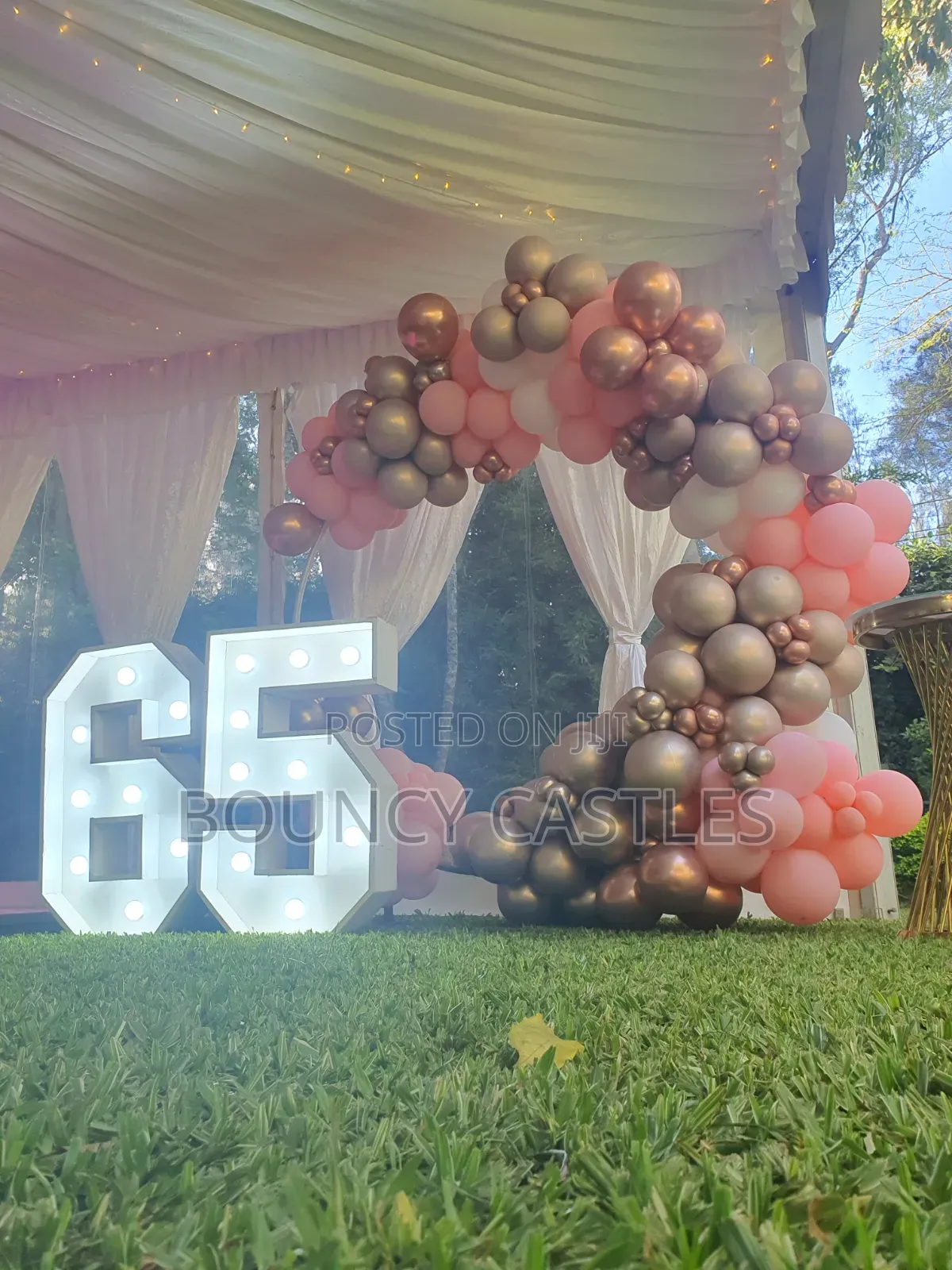 Birthday Decorations, Backdrops Balloon Decor for Hire