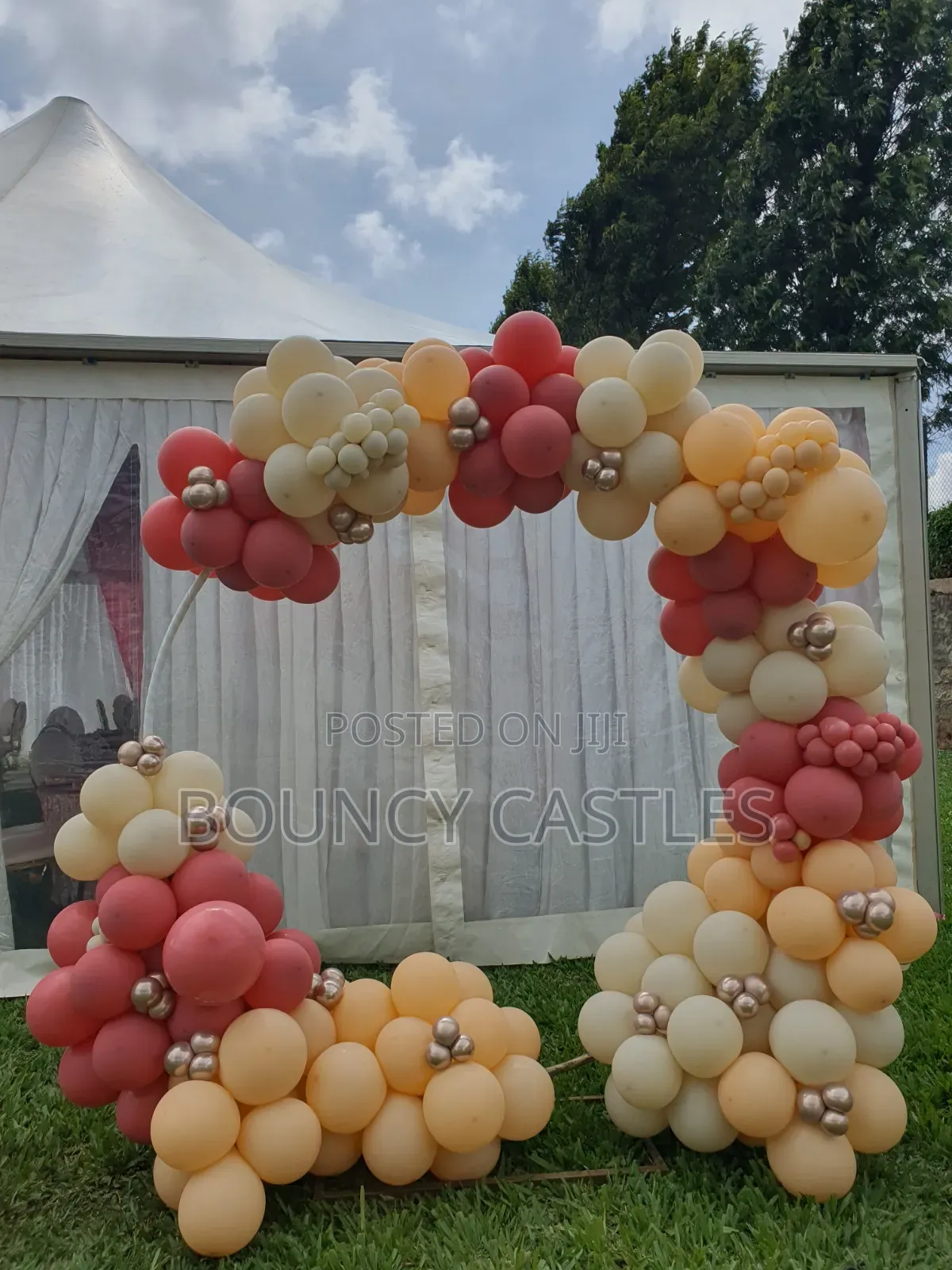 Birthday Decorations, Backdrops Balloon Decor for Hire