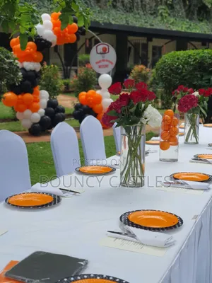 Birthday Decorations, Backdrops Balloon Decor for Hire