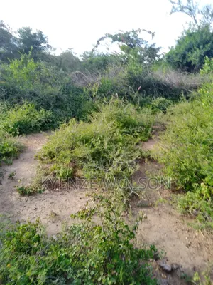 3 Very Prime Flat Acres