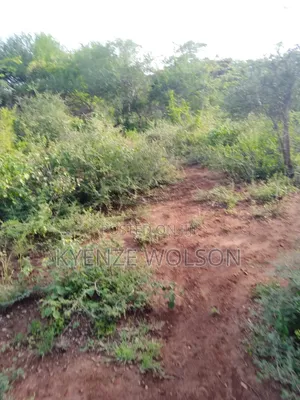 3 Very Prime Flat Acres