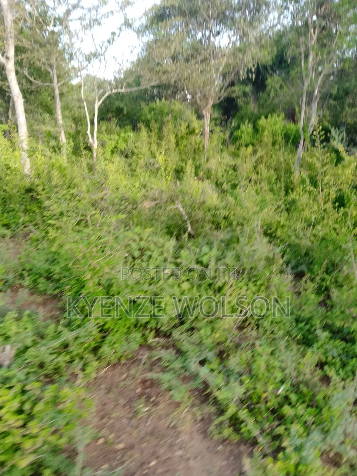 3 Very Prime Flat Acres