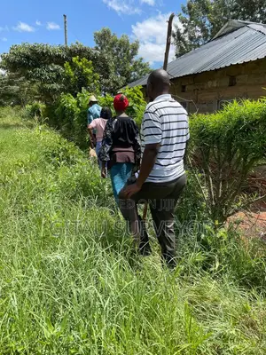 Topographical Survey & Site Mapping | Professional Surveyor