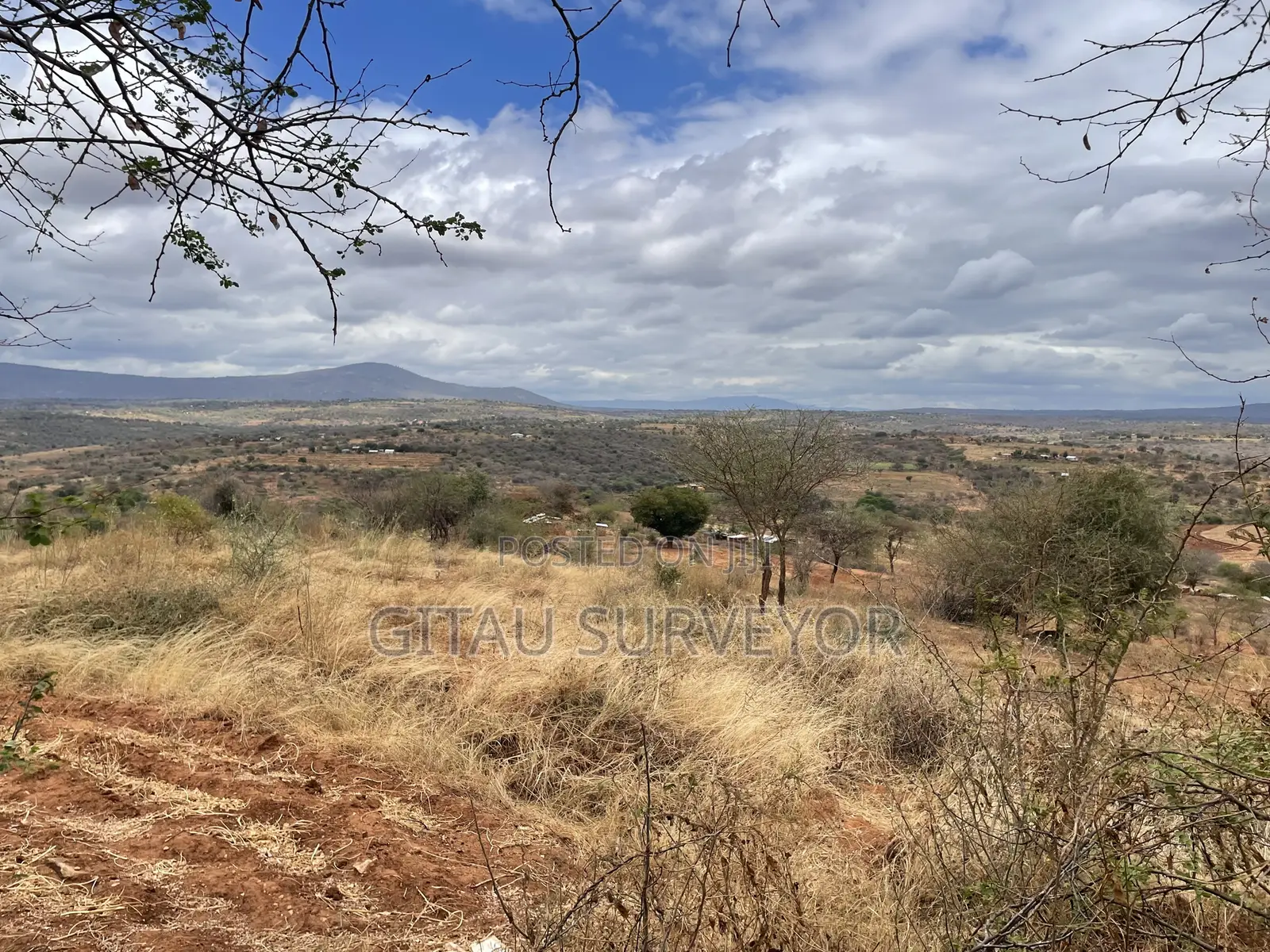 Topographical Survey & Site Mapping | Professional Surveyor