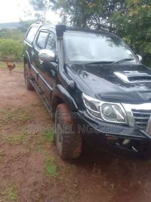 Toyota Hilux 2009 Black