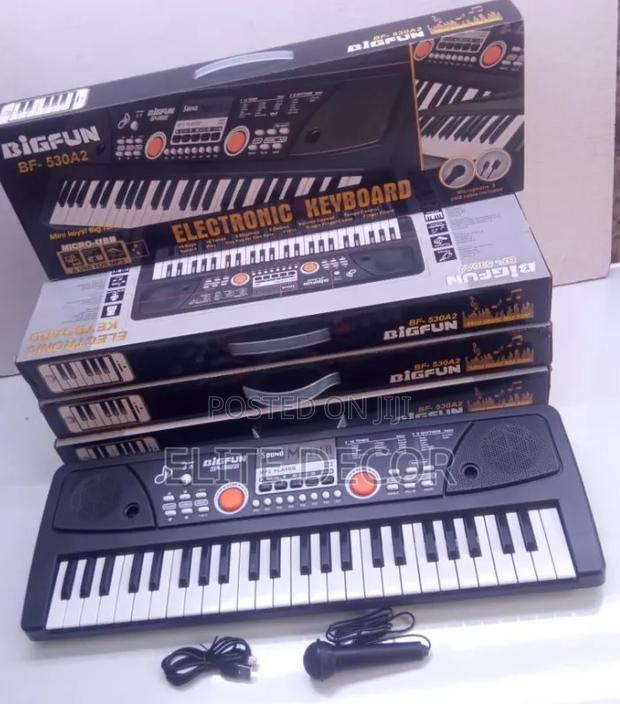 49 Keys Piano With Microphone and Charging Cable - main view