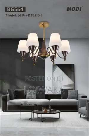 Ceiling Lights/ Chandelier