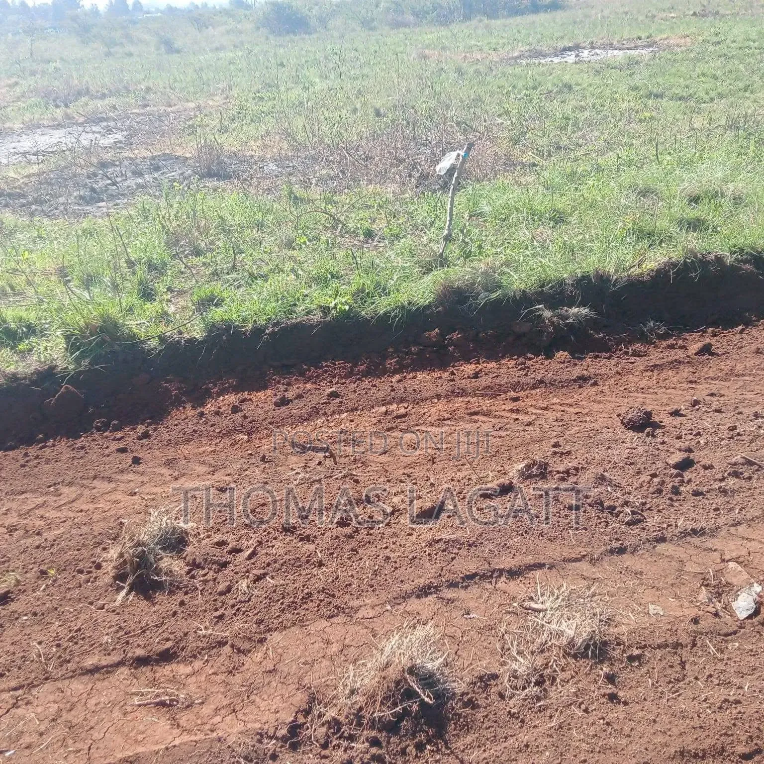 Eldoret Hillside Prime Residential Plots on Sale