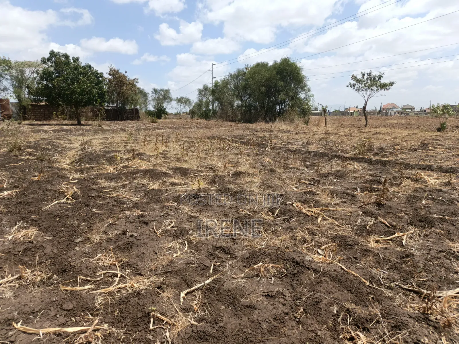 40*60 Plot for Sale-Ndururumo Ruiru