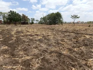 40*60 Plot for Sale-Ndururumo Ruiru