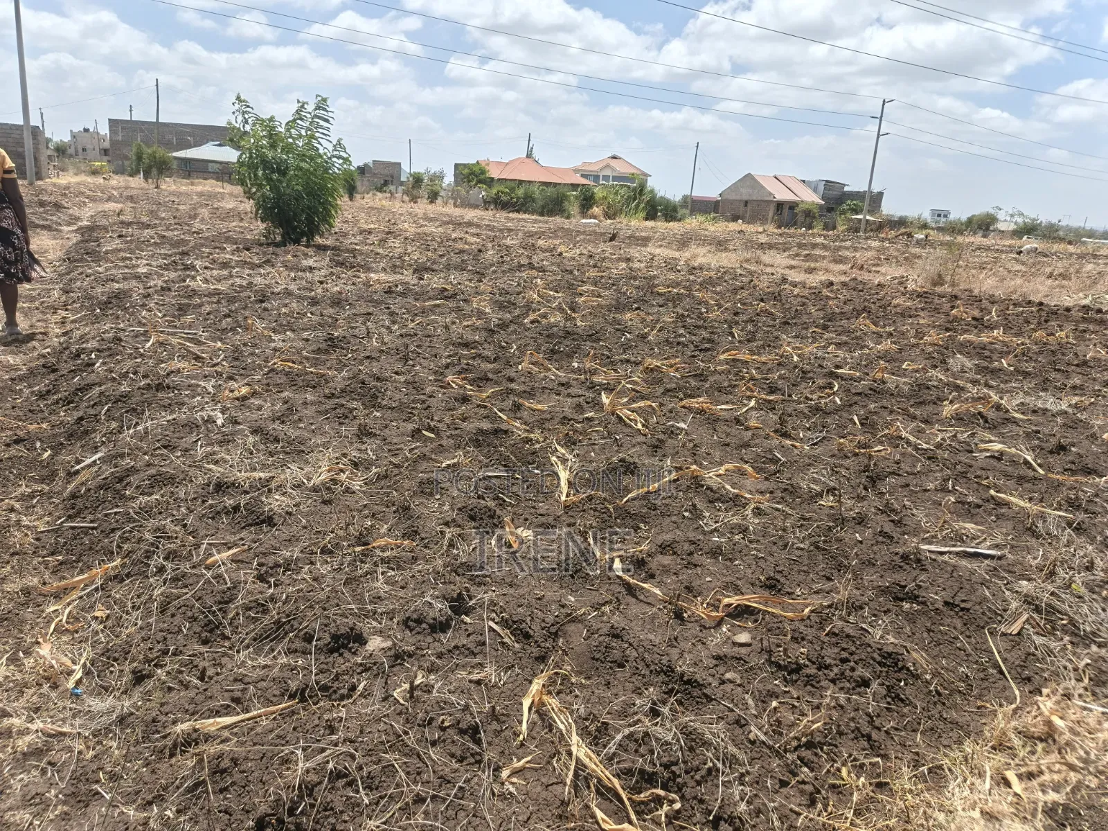 40*60 Plot for Sale-Ndururumo Ruiru