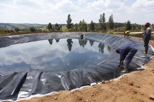 Water Storage System That Works Efficiently Throughout the Year