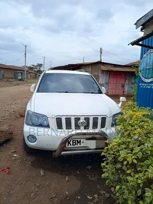 Toyota Kluger 2004 White