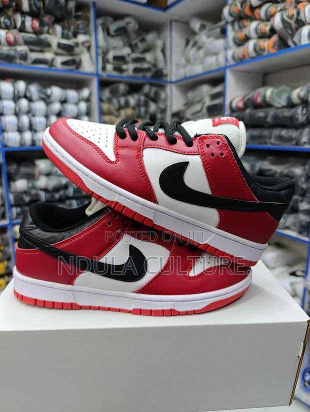Nike SB Dunk Low Pro 'Chicago' - main view