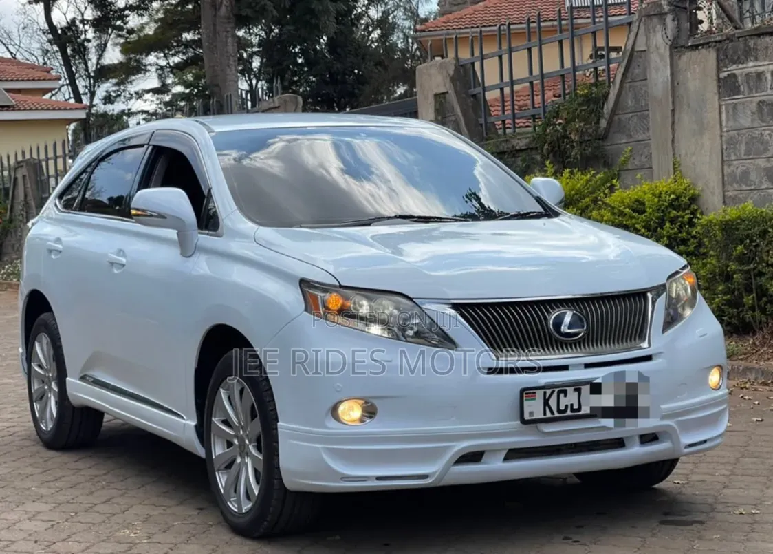 Lexus RX 2010 White