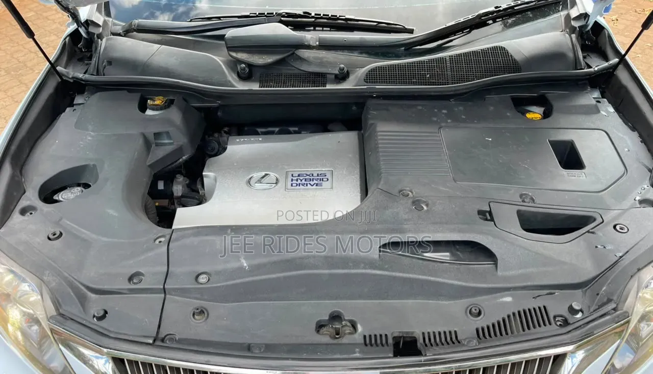 Lexus RX 2010 White