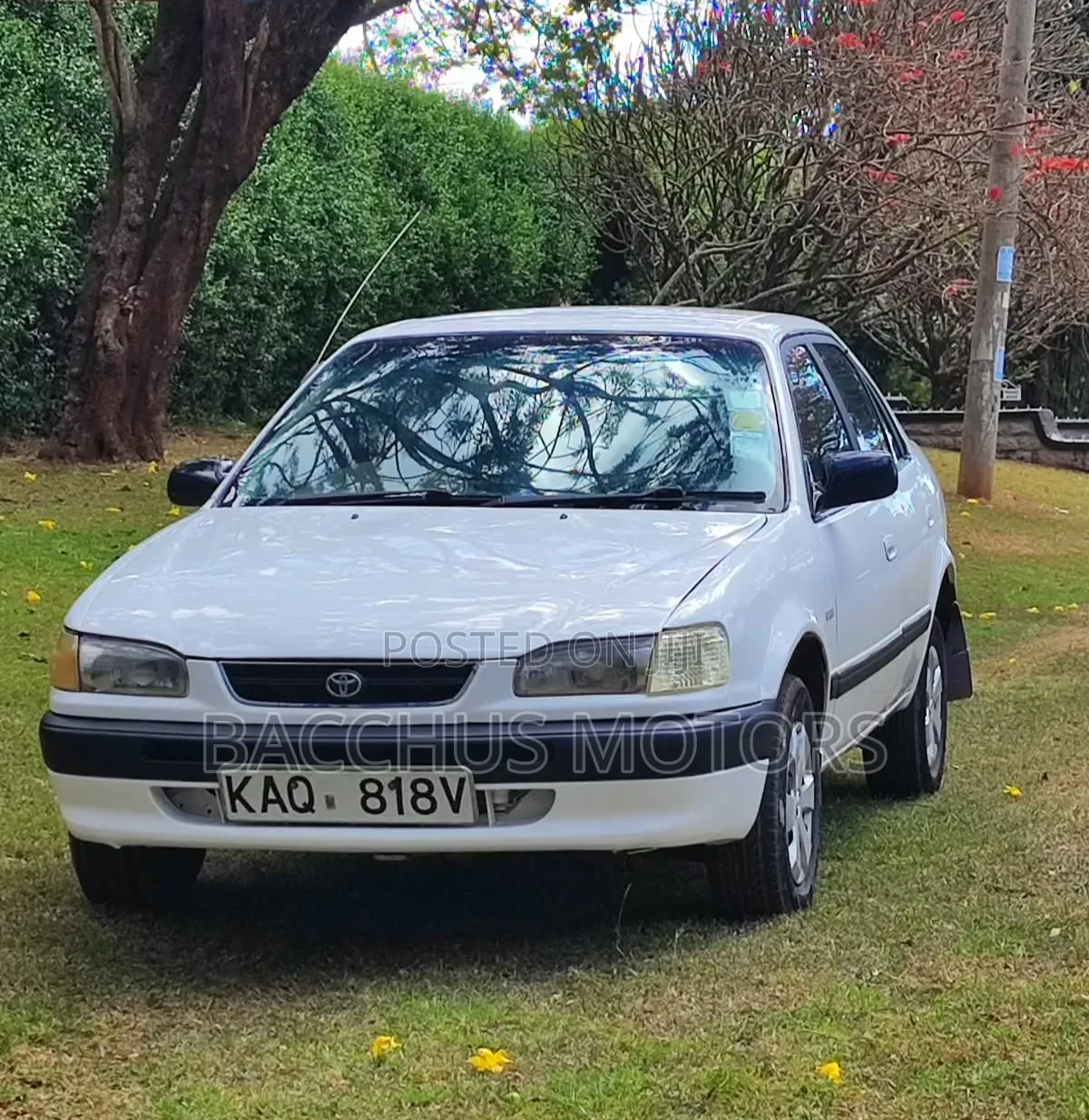 Toyota Corolla 1.3 Sedan 1996 White