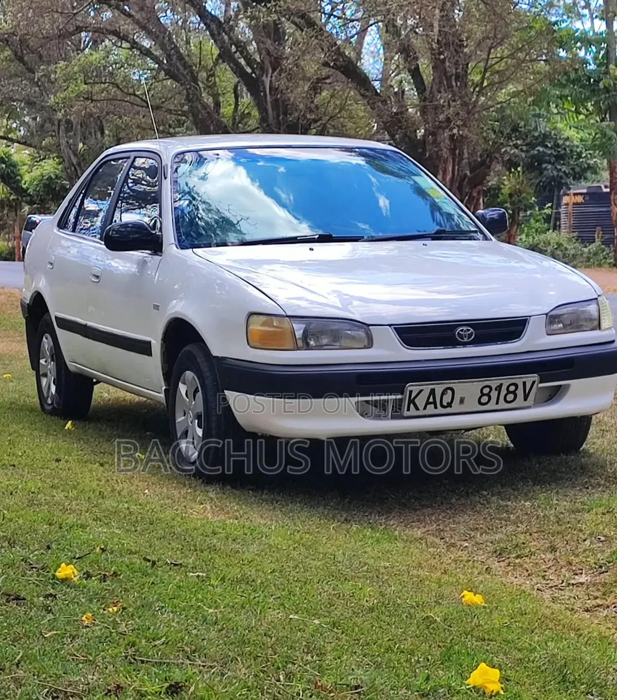 Toyota Corolla 1.3 Sedan 1996 White