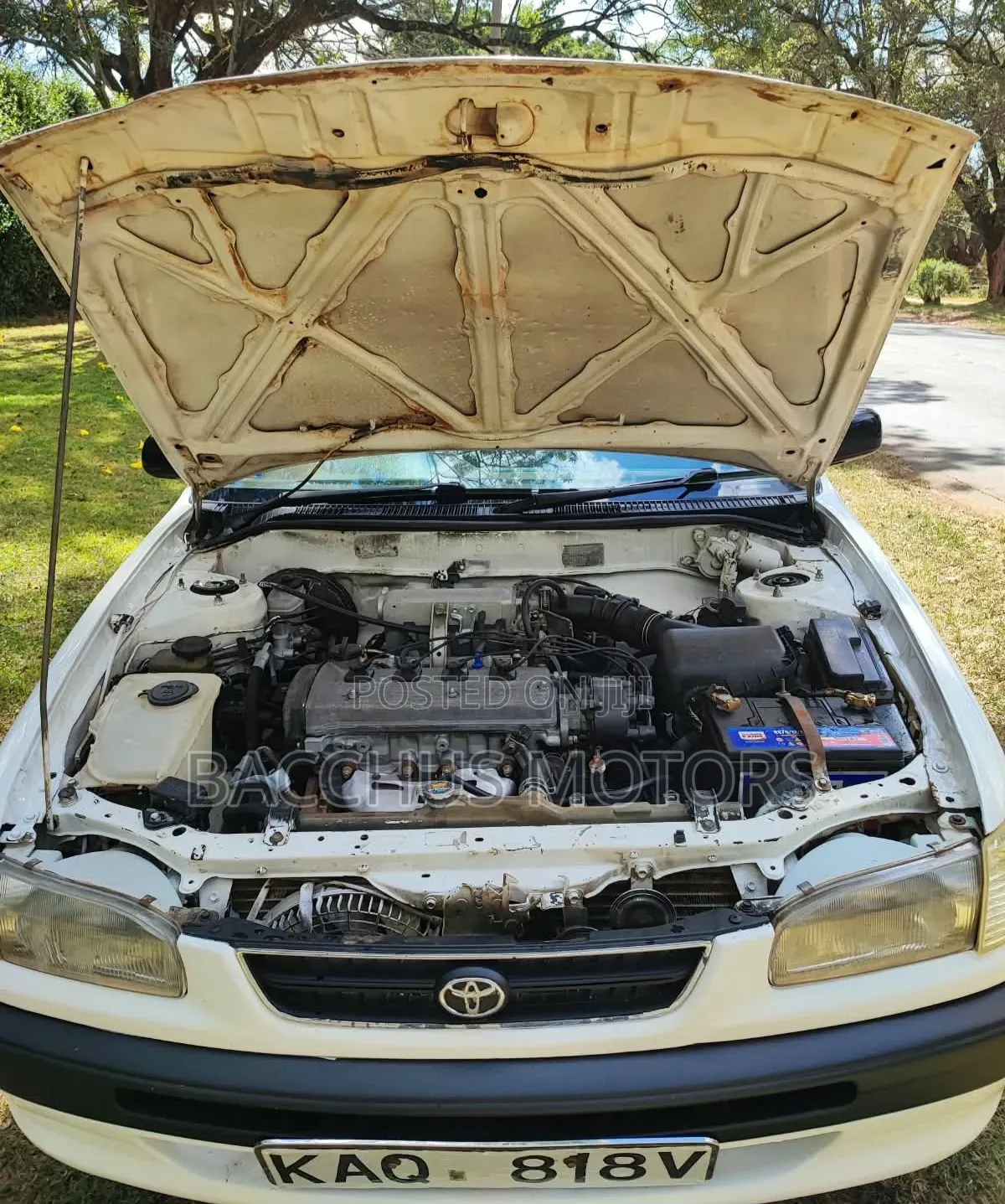 Toyota Corolla 1.3 Sedan 1996 White