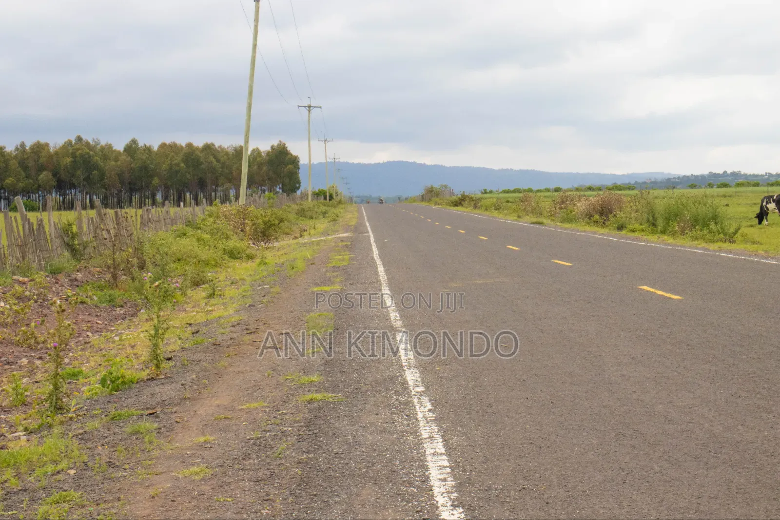 Nyeri -Nyahurur( Makutano)