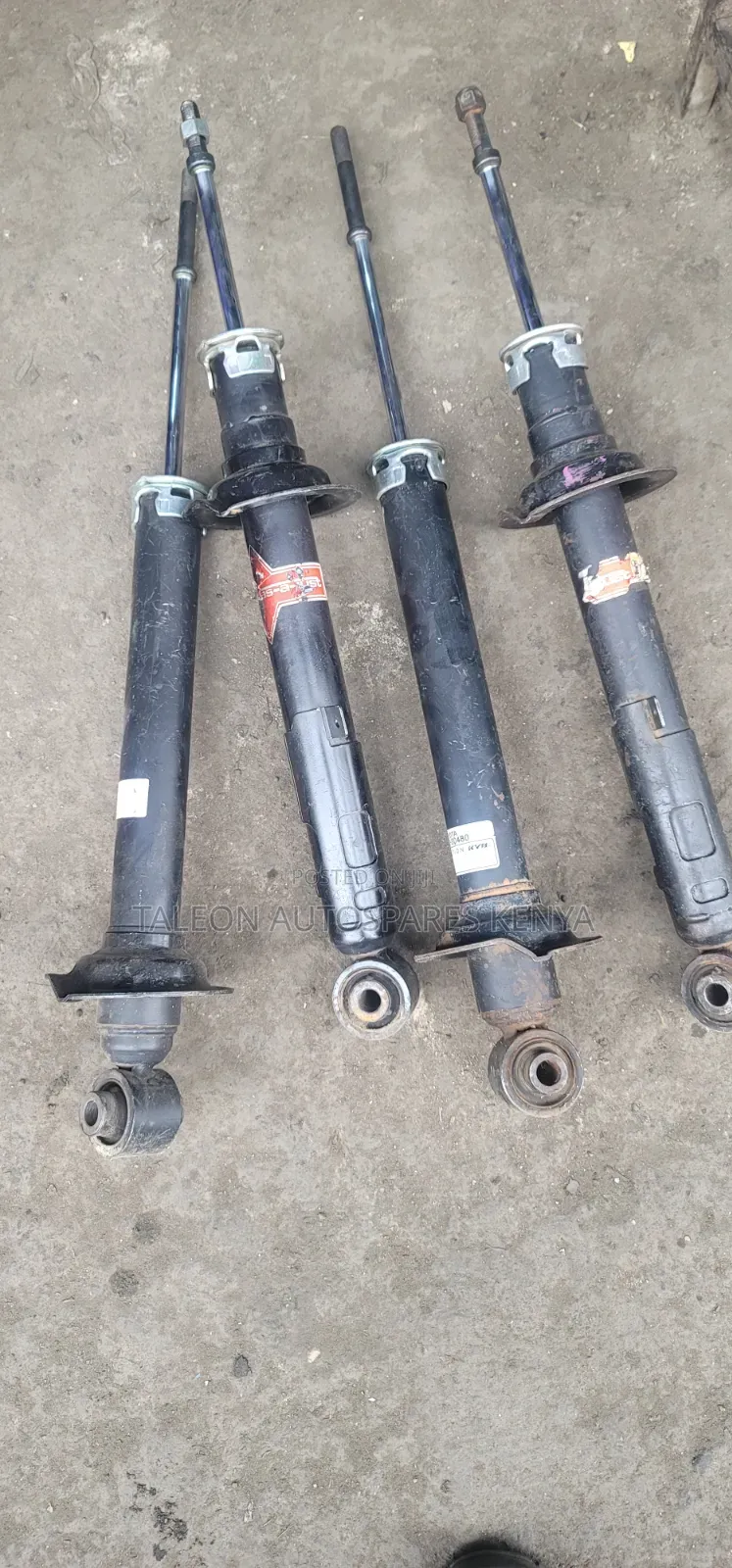 Crown Athlete Shocks
