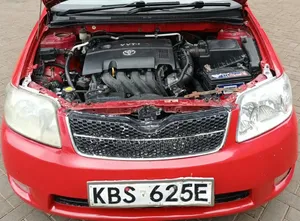Toyota Corolla Fielder 2006 Red