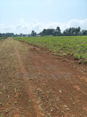 Eldoret Outspan Prime Residential 1⁄8 Acre Plots on Sale