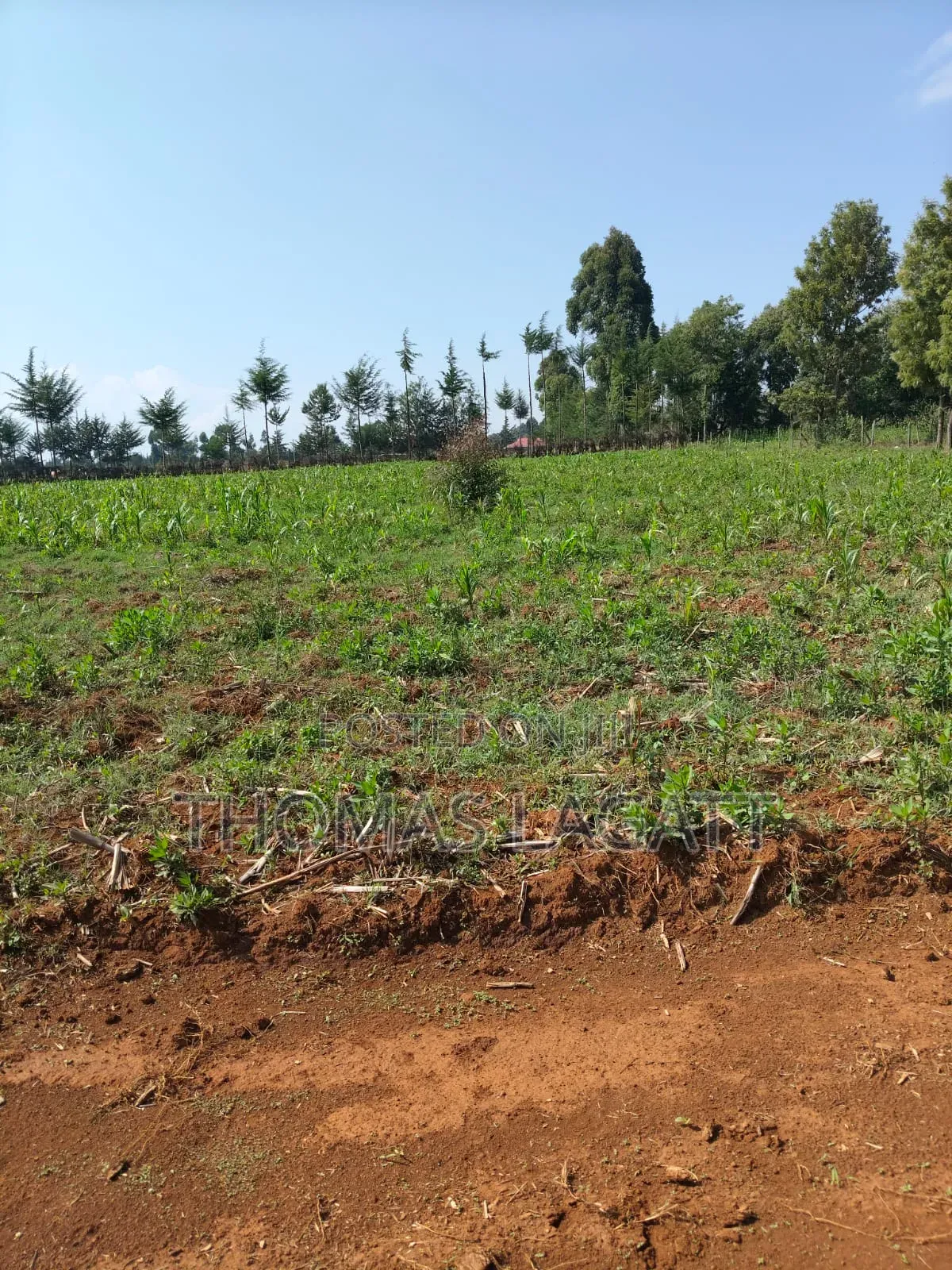 Eldoret Outspan Prime Residential 1⁄8 Acre Plots on Sale