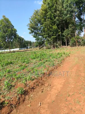 Eldoret Outspan Prime Residential 1⁄8 Acre Plots on Sale