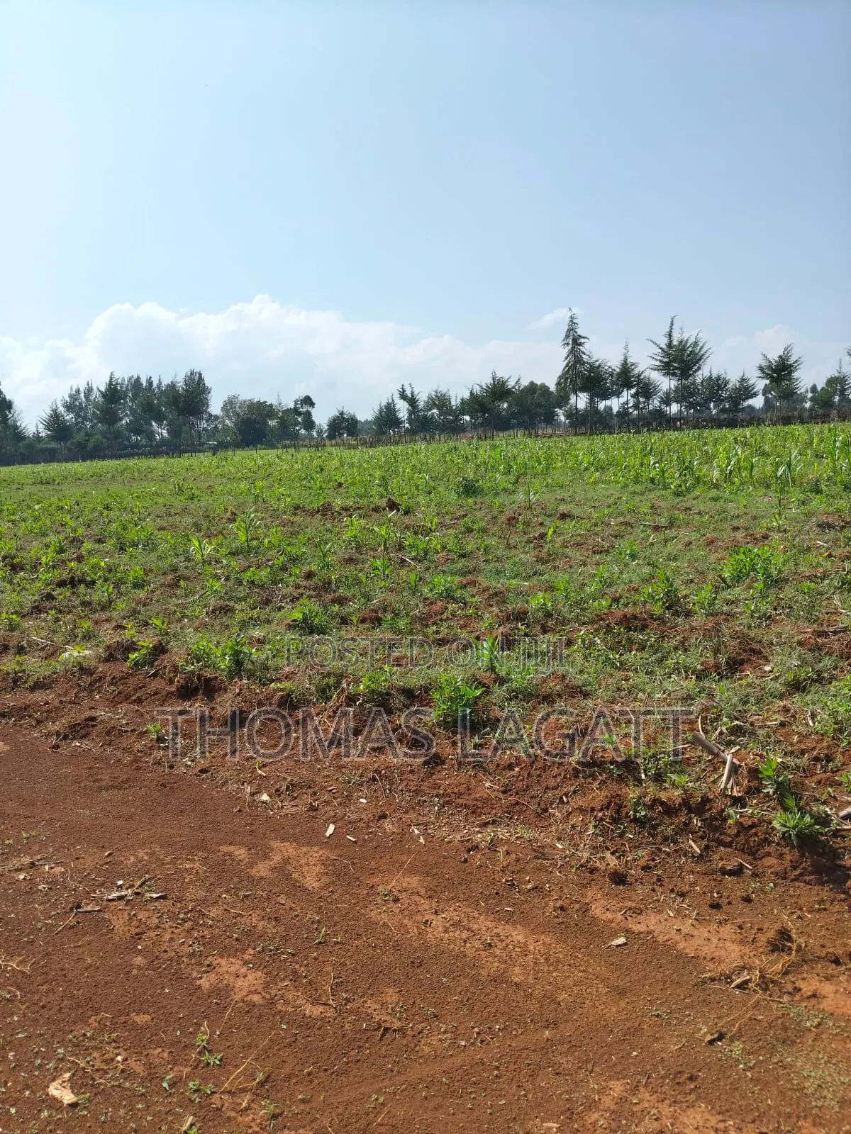 Eldoret Outspan Prime Residential 1⁄8 Acre Plots on Sale