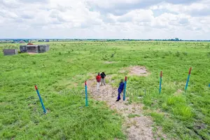 1/8 Plots in Sunshine Joska
